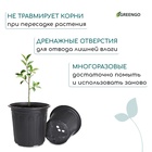 Горшок для рассады, 2 л, d=16 см, h=15 см, мягкий пластик, чёрный, Greengo 10479286 - фото 16363216