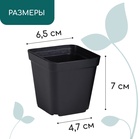 Горшок для рассады, 200 мл, 6.5×6.5×7 см, пластик, чёрный, Greengo - Фото 2