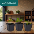 Горшок для рассады, 200 мл, 6.5×6.5×7 см, пластик, чёрный, Greengo - Фото 3