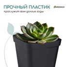 Горшок для рассады, 200 мл, 6.5×6.5×7 см, пластик, чёрный, Greengo - Фото 5