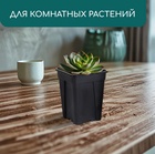 Горшок для рассады, 250 мл, 6.7×6.7×8 см, пластик, чёрный, Greengo - Фото 4