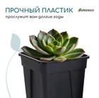 Горшок для рассады, 250 мл, 6.7×6.7×8 см, пластик, чёрный, Greengo - Фото 5