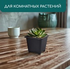 Горшок для рассады, 250 мл, 9×9×8 см, пластик, чёрный, Greengo - Фото 4