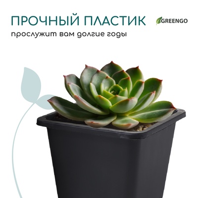 Горшок для рассады, 250 мл, 9×9×8 см, пластик, чёрный, Greengo