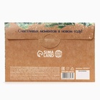 Чай подарочный «С Новым годом», 5 шт. - Фото 7