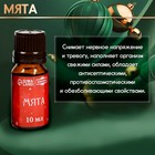 Новогодний набор эфирных масел «С легким паром!», в подарочной коробке, 8 шт. по 10 мл - Фото 8