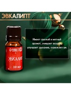 Новогодний набор эфирных масел «С легким паром!», в подарочной коробке, 8 шт. по 10 мл - Фото 15