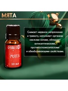 Новогодний набор эфирных масел «С легким паром!», в подарочной коробке, 8 шт. по 10 мл - Фото 4