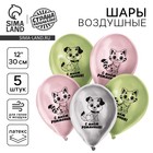 Воздушный шар латексный 12" "С днём рождения", котик и собачка, хром, 5 шт. 10683079 - фото 4353367