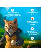 Фитнес браслет Luazon FF-SW-01, 0.96", цветной дисплей, пульсометр, оповещения, шагомер, чёрный - фото 51850791