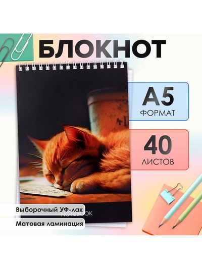 Блокнот А5, 40 листов в клетку на гребне «Соня», обложка мелованный картон, матовая ламинация, выборочный УФ-лак, блок офсет