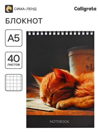 Блокнот А5, 40 листов в клетку на гребне «Соня», обложка мелованный картон, матовая ламинация, выборочный УФ-лак, блок офсет