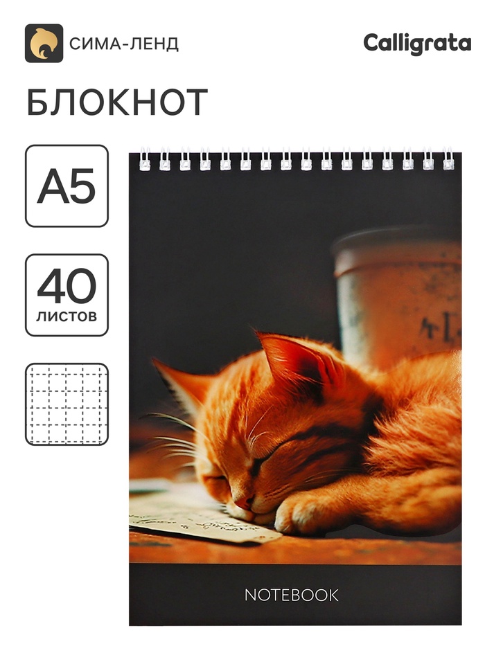 Блокнот А5, 40 листов в клетку на гребне «Соня», обложка мелованный картон, матовая ламинация, выборочный УФ-лак, блок офсет