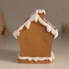 Фигурка светящаяся «Имбирный домик с печенюшкой», 11.2×9×12.8 см - Фото 4