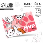 Наклейка на банковскую карту «Мур Pay», 8,5 х 5,4 см 10418701 - фото 12982117