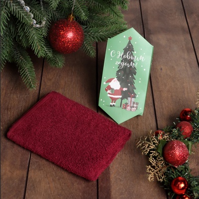 Полотенце махровое «Этель. Дед Мороз», 30×30 см, хлопок 100%