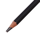 Карандаш художественный Calligrata TOP, чернографитный, 12B, шестигранный - Фото 4