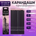 Набор карандашей чернографитных 12 штук (2шт-2В, 2шт-В, 4шт-НВ, 2шт-Н, 2шт-2Н) 10325518 - фото 25084373