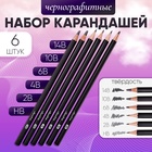 Набор карандашей чернографитных 6 штук (14В, 10В, 6В, 4В, 2В, НВ) 10325524 - фото 25084378