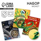 Монета новогодняя «Новогодняя» на Новый год, микс, диам. 4 см 10429971 - фото 313034507