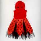 Карнавальный набор «Прекрасная Божья коровка», платье, ободок, рост 110-116 см - Фото 3