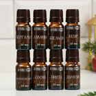 Новогодний набор эфирных масел «Настоящему банщику», в подарочной коробке, 8 шт. по 10 мл - Фото 2