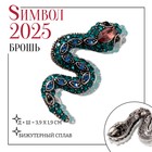 Новый год! Символ года 2025! Брошь "Змея" хранитель, цветная в чернёном серебре - фото 112303530