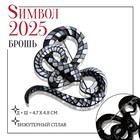 Новый год! Символ года 2025! Брошь "Узел" змеиный, цветная в чёрном металле - фото 322147978