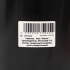 Саженец Розы "Сивил", Горшок С4, Лето 2024 - фото 26181028