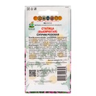 Семена цветов Статица "Суприм", розовая, 0,15гр. - фото 27001641