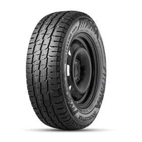 Шина зимняя нешипуемая DOUBLESTAR DW06 215/70 R15C 109/107R 10804603