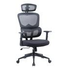 Кресло офисное для руководителя Chairman CH560, с подлокотником, с подголовником, сетка, цвет чёрный - Фото 1