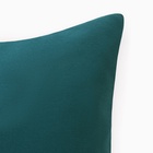 Наволочка «Этель», 70×70 см, зелёная, бязь, хлопок 100% 10624026