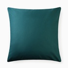 Наволочка «Этель», 70×70 см, зелёная, бязь, хлопок 100% 10624026