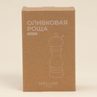 Набор мельниц для специй SL Home «Оливковая роща», 2 шт, 17 см, цвет оливковый - Фото 6