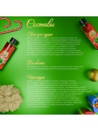 Новогодний подарочный набор косметики SB BEAUTY, шампунь, гель для душа, бомбочка, мочалка, с ароматом мяты и мандарина - фото 54788135