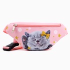 Подарочный набор для девочки с сумкой Easy box «Котята» 10207562 - фото 12900640