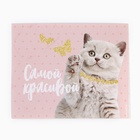 Подарочный набор для девочки с сумкой Easy box «Котята» 10207562 - фото 12900645