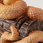 Новогодняя копилка "Кобра на сундуке "  20 х 17 х 12 см, янтарный - фото 26302521