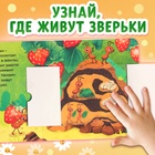 Картонная книга с окошками «Кто в домике живёт?», 12 стр. - фото 5290853