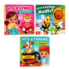 Картонные книги с окошками «Что внутри?», набор 3 шт. по 12 стр. - Фото 1