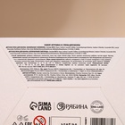 Подарочный набор новогодний детский «С Новым Годом», пена для ванны 2×100 мл и мягкая игрушка совёнок, Чистое счастье - Фото 12