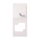 Блок с липким краем 75мм х 75мм 50л пластик прозрачные с блестками Лапки кошки - фото 809280523 Блок с липким краем 75мм х 75мм 50л пластик прозрачные с блестками Лапки кошки - фото 809280523