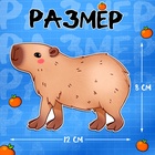 Магнитный набор «Капи-мода» - Фото 2