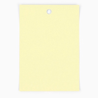 Наклейки бумажные «С Пасхой!», 9×16 см