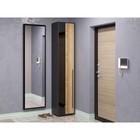 Шкаф – пенал «Аэлита С6», 445×350×2200 мм, цвет дуб вотан/чёрный - Фото 3