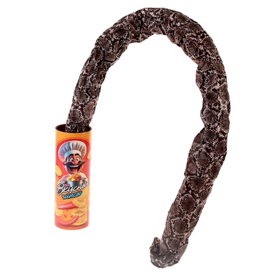 Прикол - игрушка со змеёй «Банка чипсов»