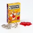 Металлическая головоломка «Рецепт для мозга», с танграмом, МИКС - Фото 2