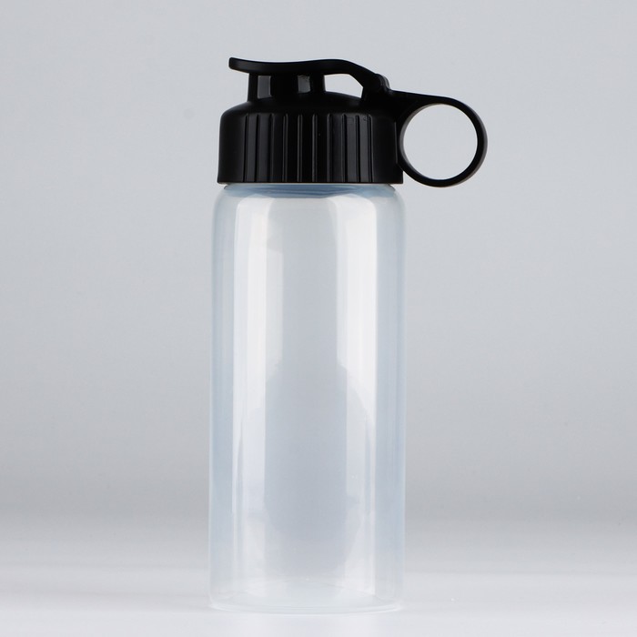 Бутылка для воды пластиковая «Вид 1», 450 мл - Фото 1