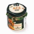 Мёд с маточным молоком «Счастья в новом году», 250 г 10638865